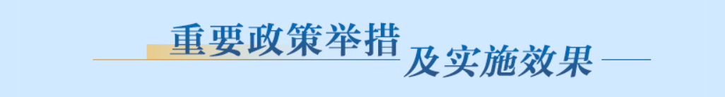 重要政策舉措及實(shí)施效果